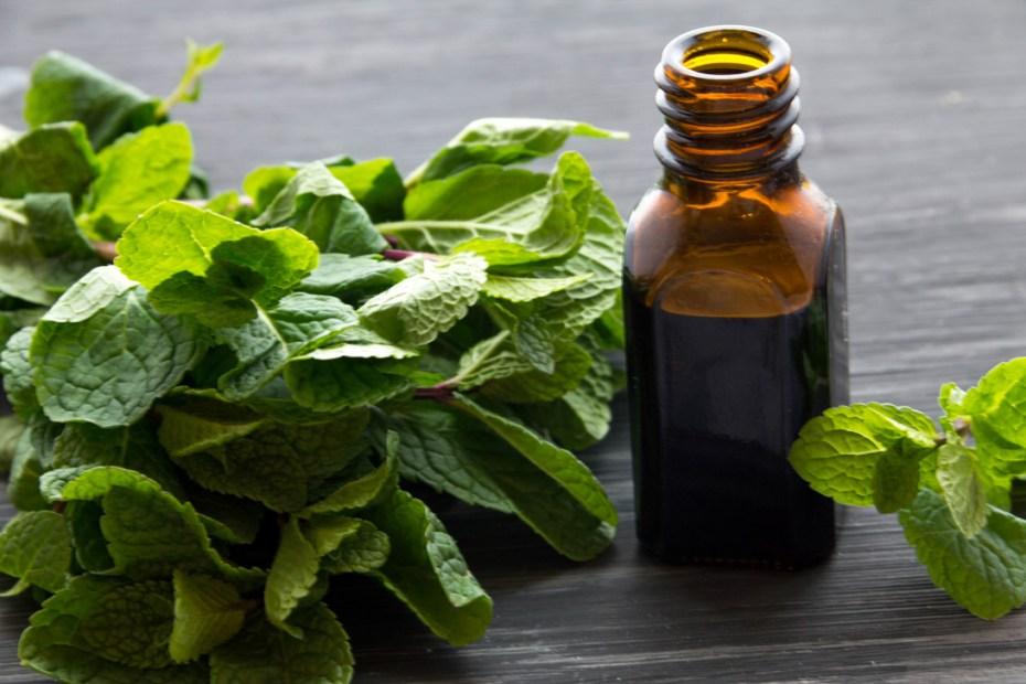 Aromatherapy Tips for Holiday Travel