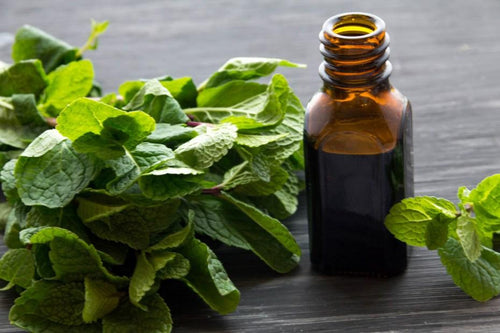 Aromatherapy Tips for Holiday Travel