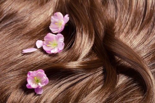 3 Secrets to Healthy, Beautiful Hair