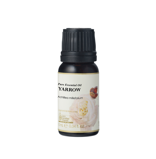 Yarrow Essential Oil
