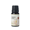 Almond Sweet Carrier Oil