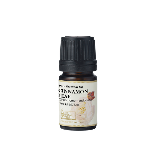 Cinnamon Leaf Essential Oil