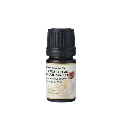 Eucalyptus Blue Mallee Essential Oil