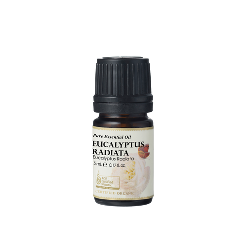 Eucalyptus Radiata Essential Oil