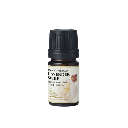 Lavender Spike Essential Oil