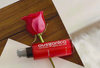 Why Rose Beauty? Ausganica's Founder Explains Why Rose Is So Effective