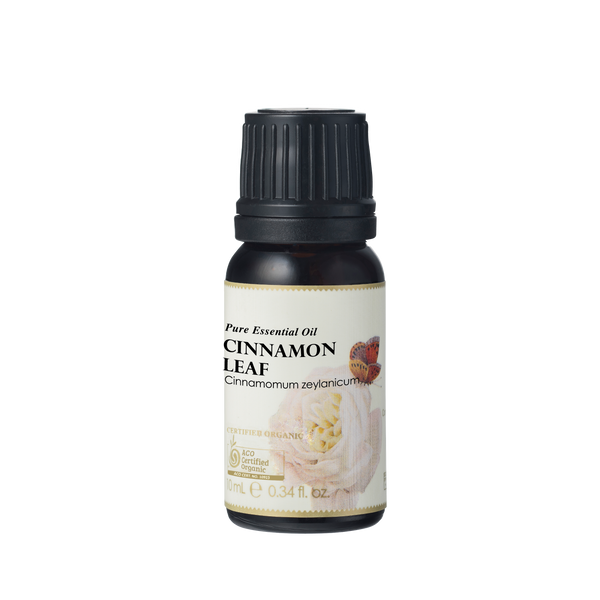 Cinnamon Leaf Essential Oil