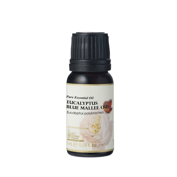 Eucalyptus Blue Mallee Essential Oil