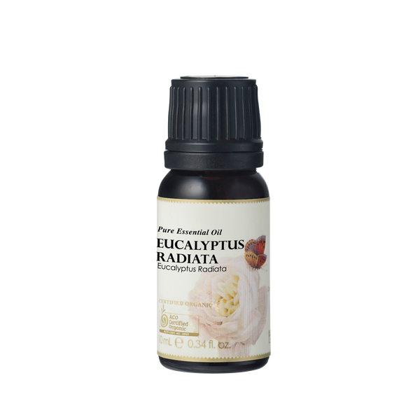 Eucalyptus Radiata Essential Oil