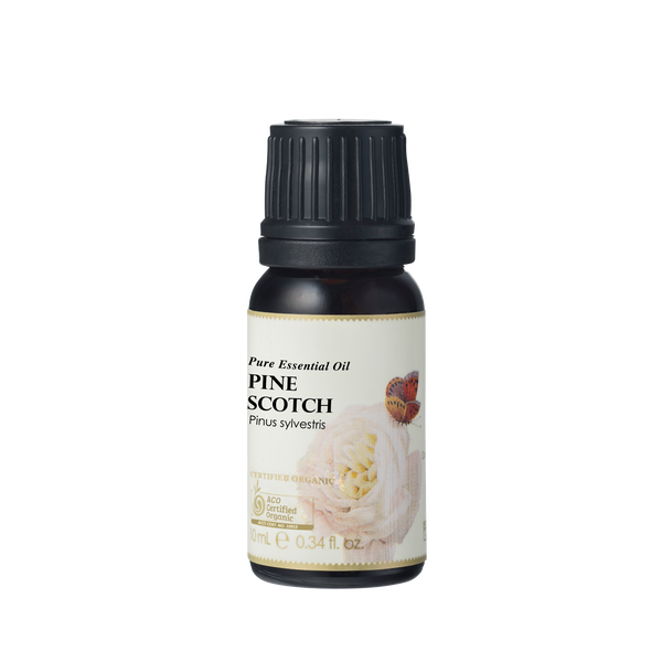Pine Scotch Essential Oil